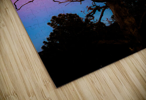 Tree Hugging Moon Cheryl Wiescamp puzzle