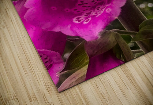 Fox Glove Cheryl Wiescamp puzzle