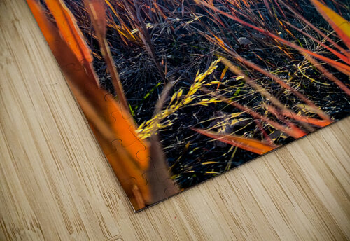 Grasses Cheryl Wiescamp puzzle