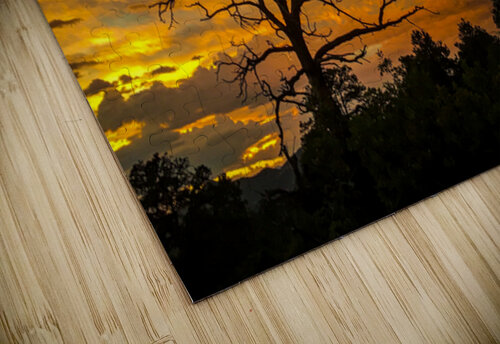 Passing Storm Cheryl Wiescamp puzzle