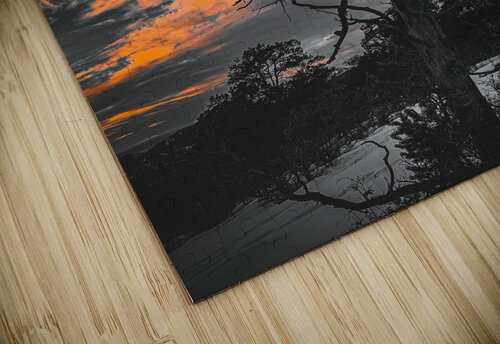Winter Cheryl Wiescamp puzzle