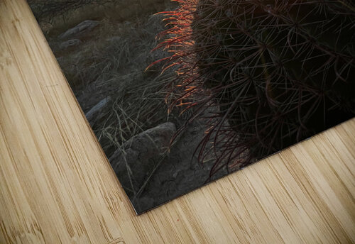 Fishhook Barrel Cheryl Wiescamp puzzle