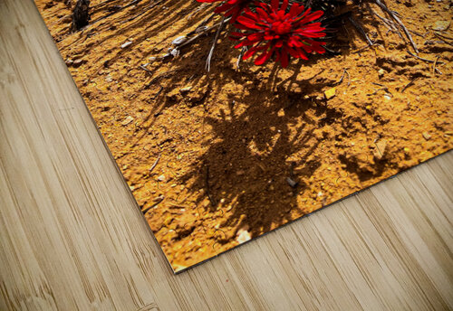 Yucca Paintbrush Cheryl Wiescamp puzzle
