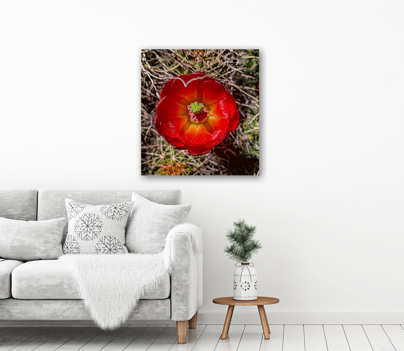 Prickly Bloom Reproduction