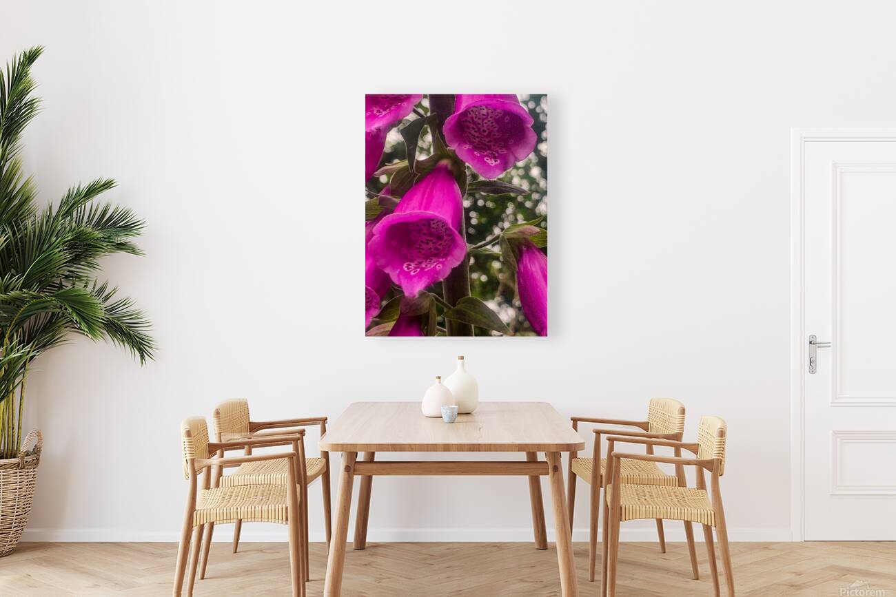 Fox Glove Reproduction