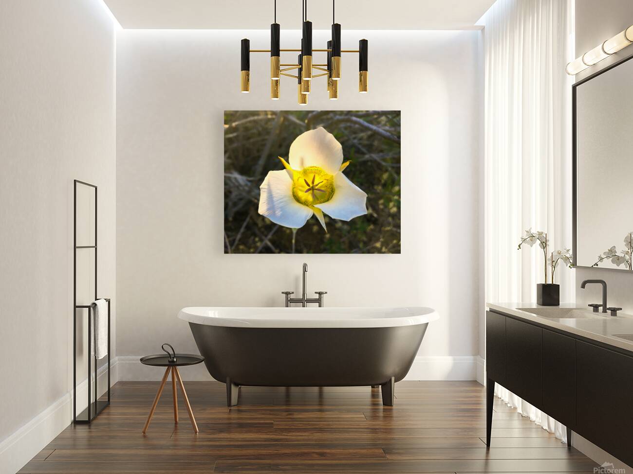 Sego Lily Reproduction