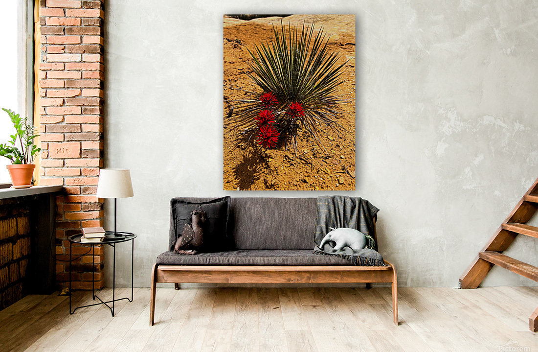 Yucca Paintbrush Reproduction