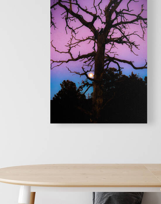 Tree Hugging Moon Reproduction