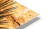 Yucca Paintbrush HD Metal print