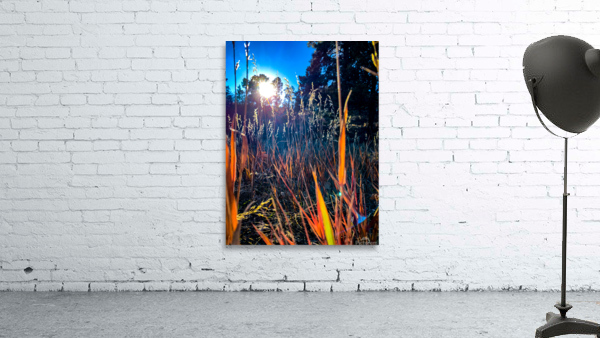 Grasses Wall Preview