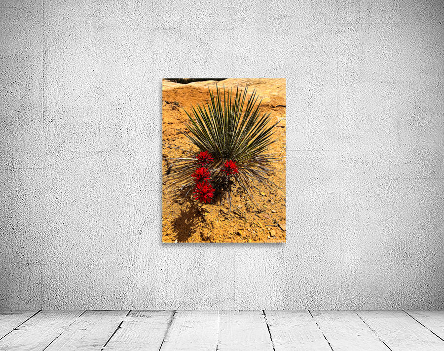 Yucca Paintbrush Wall Preview