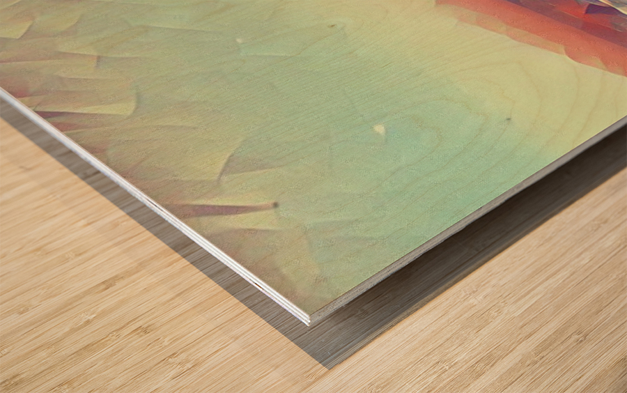 Beautiful Sky Wood print