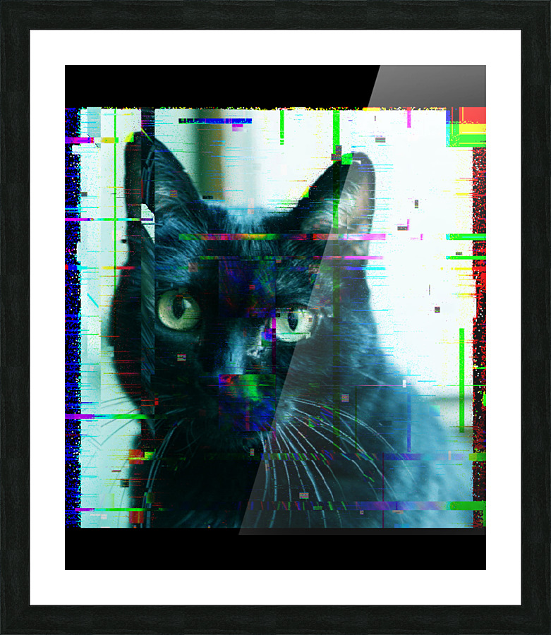  Fine Art print