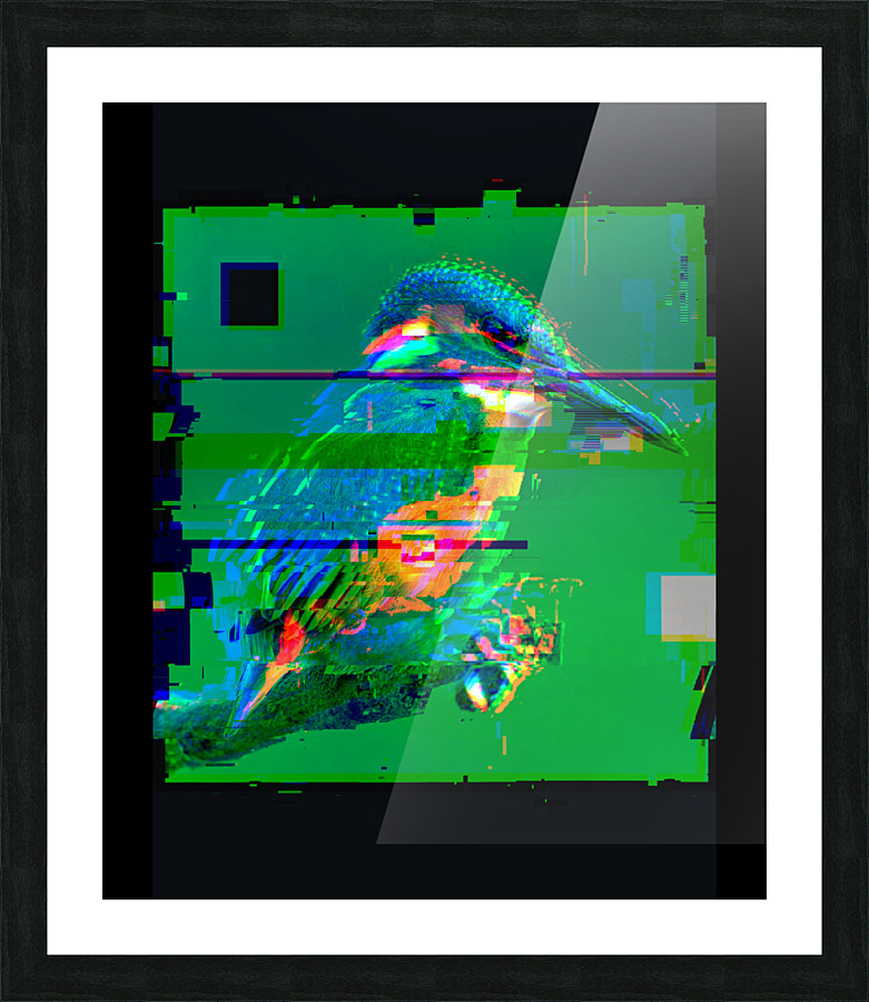  Fine Art print