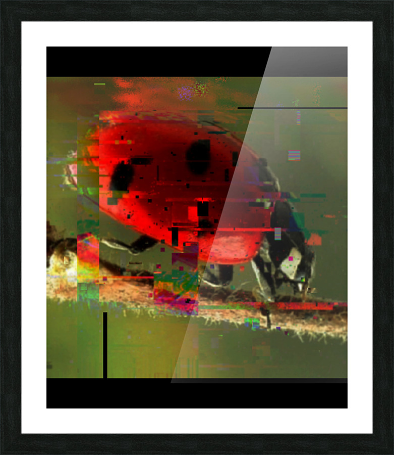 Fine Art print