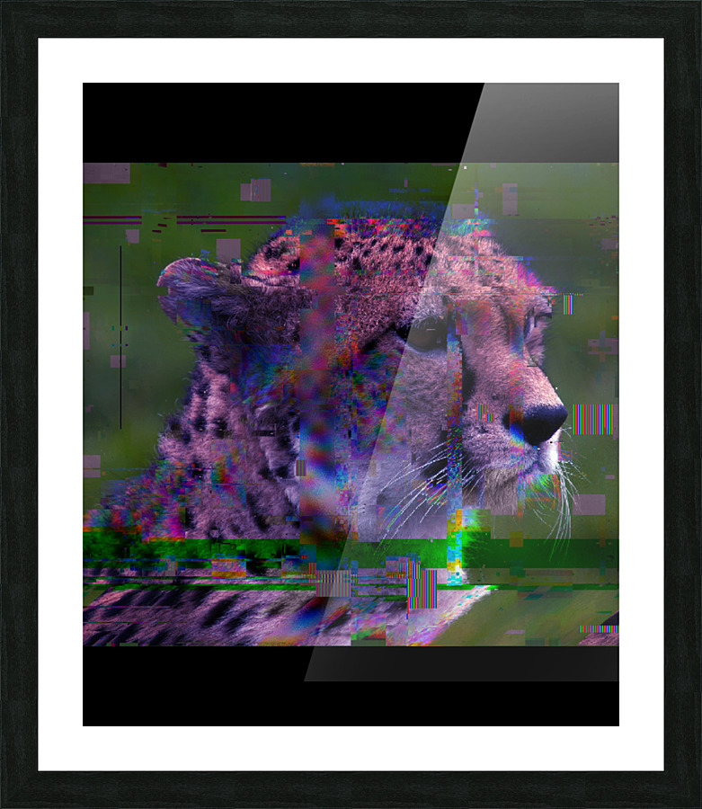 Fine Art print