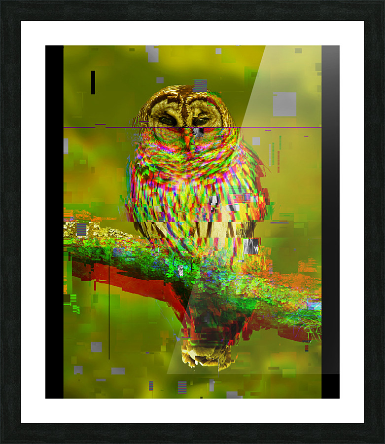 Fine Art print