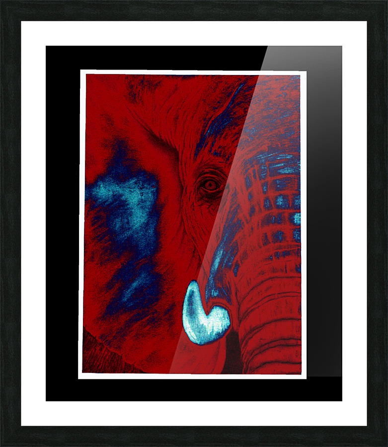  Fine Art print