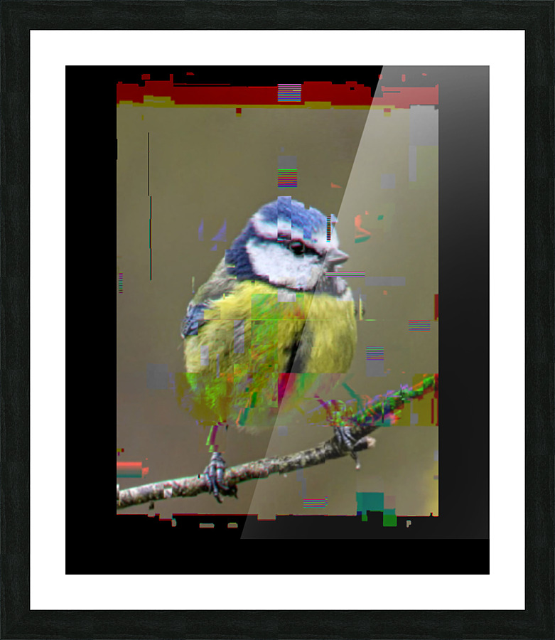  Fine Art print