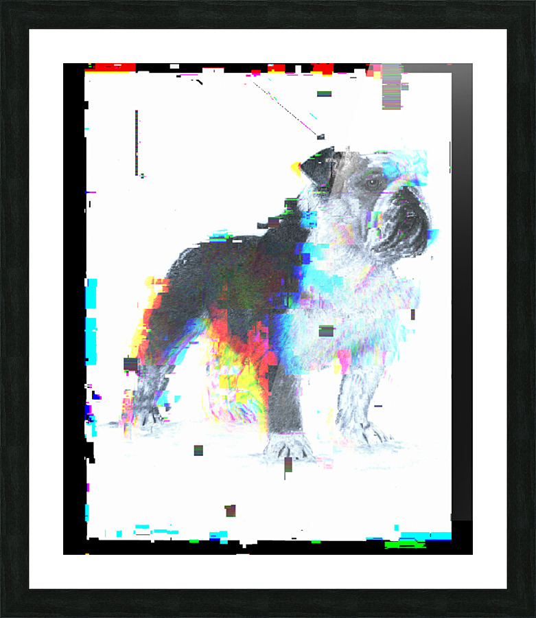  Fine Art print