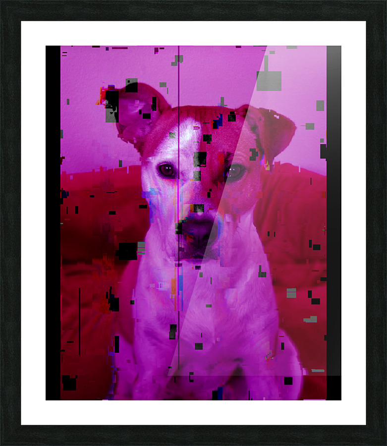  Fine Art print