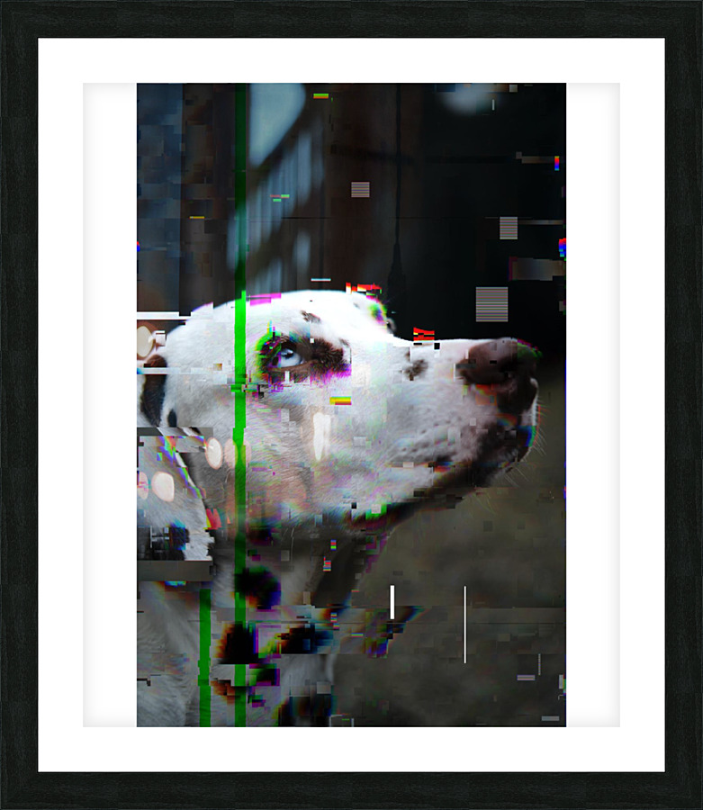  Fine Art print