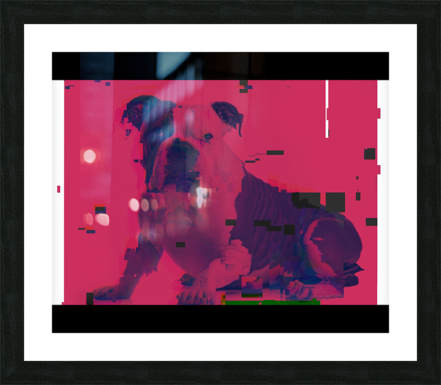  Fine Art print