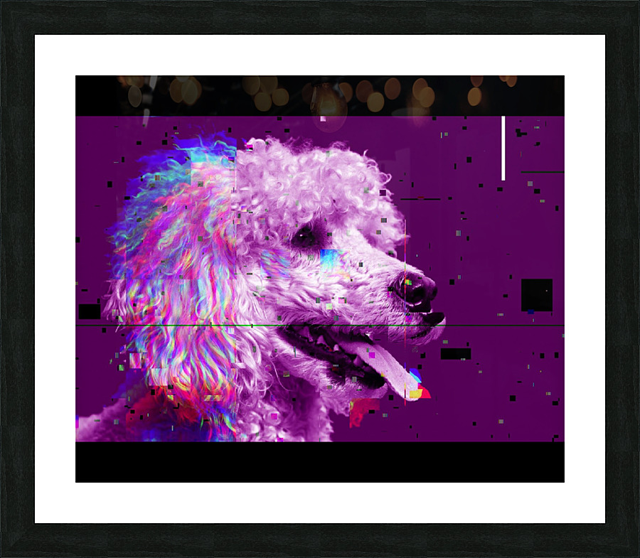  Fine Art print