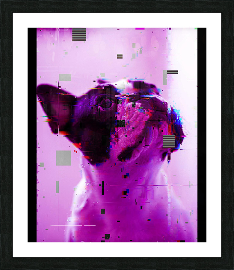  Fine Art print