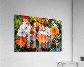 Studio in Orange  Acrylic Print