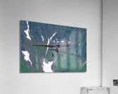 Prepare for Landing Acrylic Print