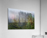 Cordova Mist Acrylic Print