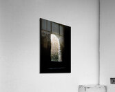 Into the Light Acrylic Print