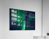 Auroras Above Acrylic Print