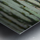 Looking at Lillies Metal print