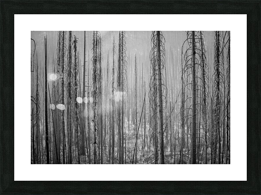 After the Fire Picture Frame Printing