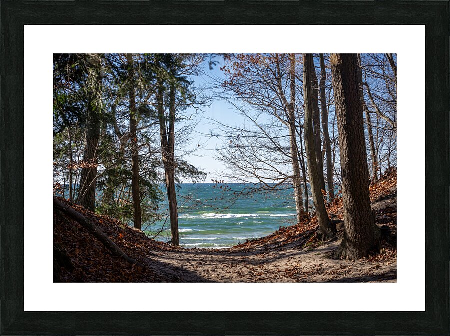 Falling for Michigan Picture Frame Printing