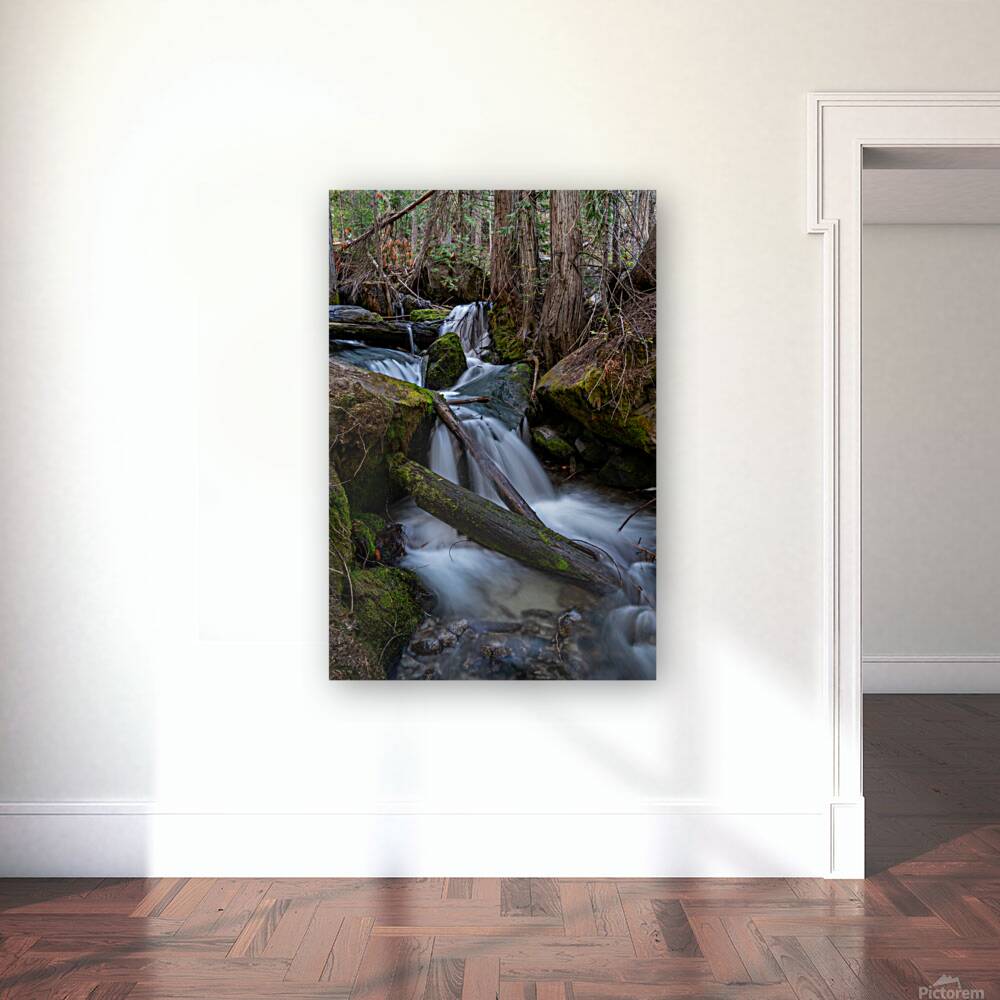 Small Falls Reproduction
