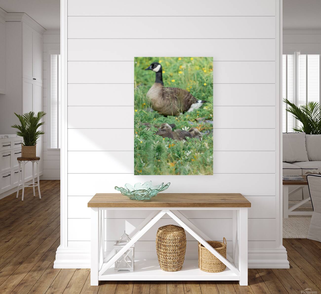 The Curious Gosling Reproduction