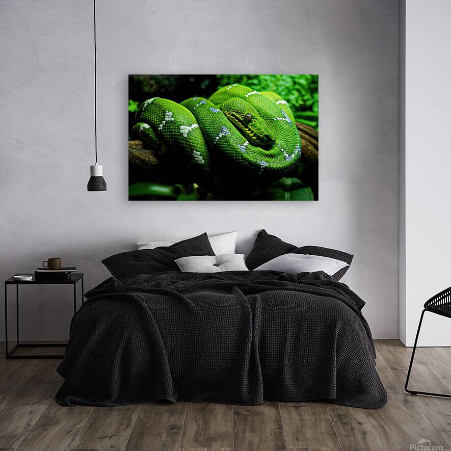 Danger Noodle Reproduction