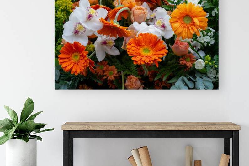 Studio in Orange  by Gregular Images
