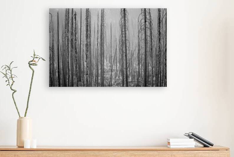 After the Fire by Gregular Images