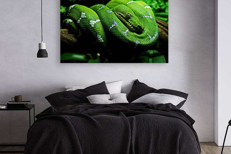 Danger Noodle by Gregular Images