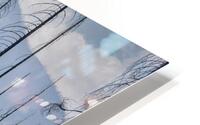 Regrowth  HD Metal print