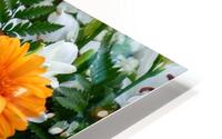 Studio in Orange  HD Metal print