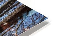 Falling for Michigan HD Metal print