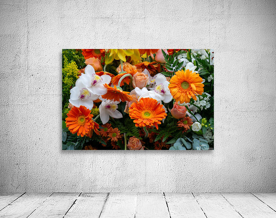 Studio in Orange  Wall Preview