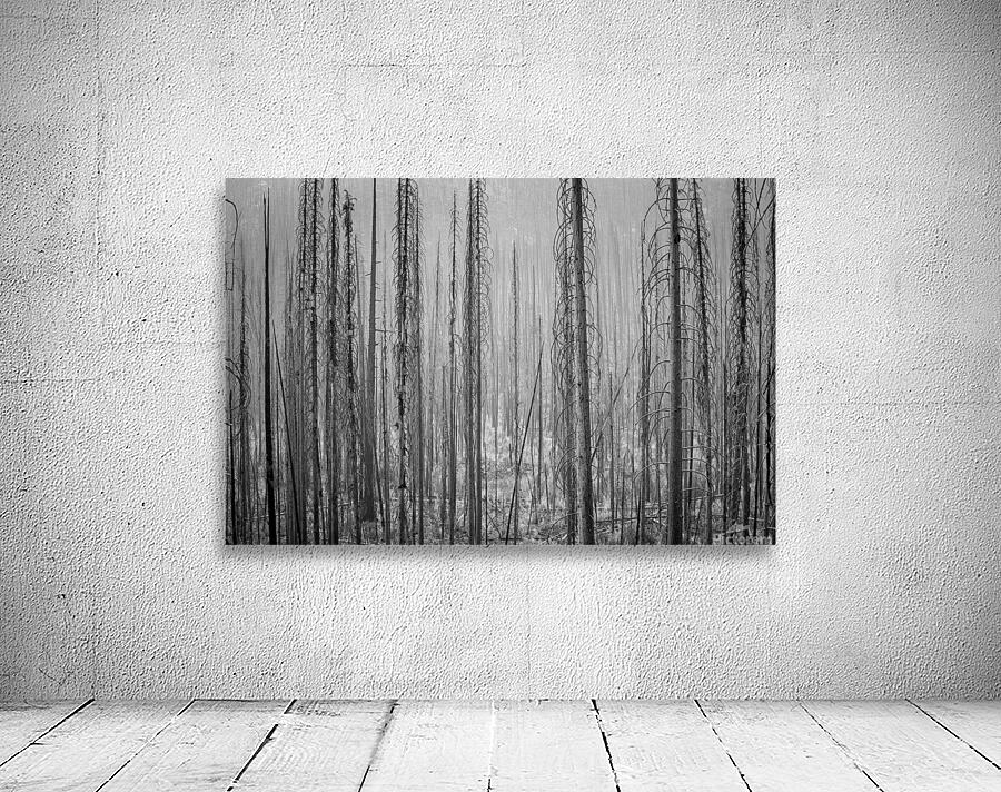 After the Fire Wall Preview
