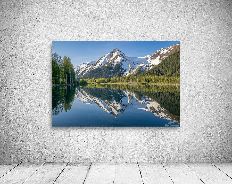 Summer Reflections Wall Preview