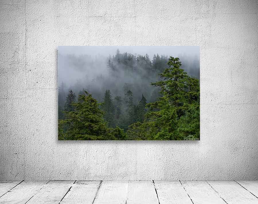 Cordova Mist Wall Preview